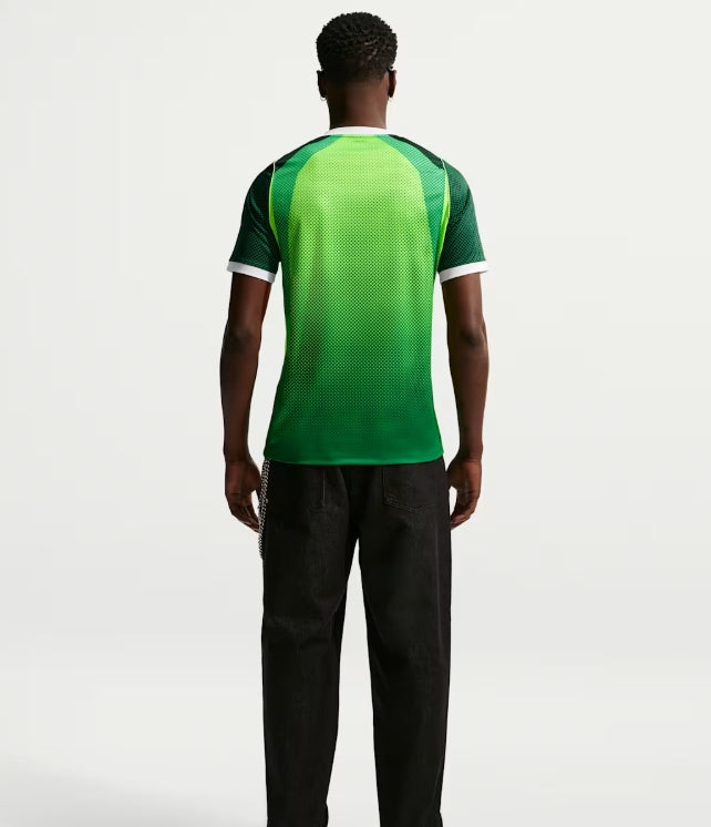 Nigeria 2026 Stadium